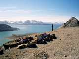 Picture from Svalbard 63.