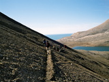 Picture from Svalbard 63.