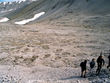 Picture from Svalbard 63.