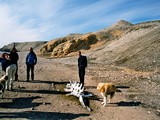 Picture from Svalbard 63.