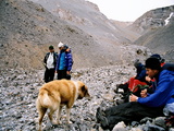 Picture from Svalbard 63.