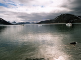 Picture from Svalbard 63.