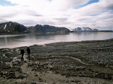 Picture from Svalbard 63.