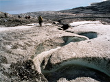 Picture from Svalbard 63.
