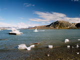 Picture from Svalbard 63.