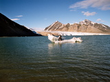 Picture from Svalbard 63.