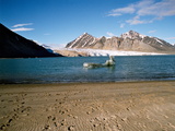 Picture from Svalbard 63.
