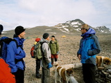 Picture from Svalbard 63.