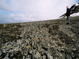 Picture from Svalbard 63.