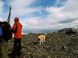 Picture from Svalbard 63.