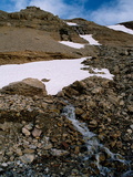 Picture from Svalbard 63.