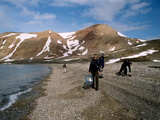 Picture from Svalbard 63.