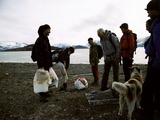 Picture from Svalbard 63.