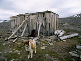 Picture from Svalbard 63.