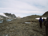 Picture from Svalbard 63.