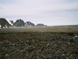 Picture from Svalbard 63.