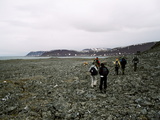 Picture from Svalbard 63.
