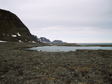 Picture from Svalbard 63.
