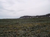 Picture from Svalbard 63.