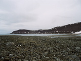 Picture from Svalbard 63.