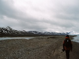Picture from Svalbard 63.