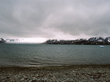 Picture from Svalbard 63.