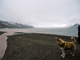 Picture from Svalbard 63.