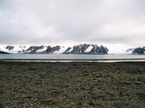Picture from Svalbard 63.