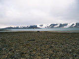 Picture from Svalbard 63.