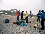 Picture from Svalbard 63.