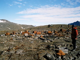 Picture from Svalbard 30.