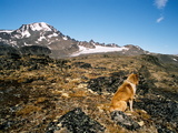 Picture from Svalbard 30.