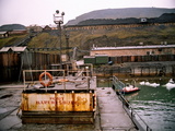 Picture from Svalbard 33.