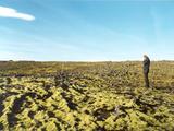 Picture from Iceland 17.
