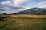 Picture from Iceland 34.