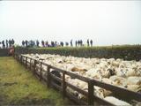 Picture from Iceland 10.