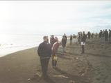 Picture from Iceland 8.