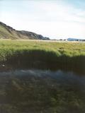 Picture from Iceland 113.