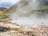 Picture from Iceland 113.