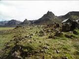 Picture from Iceland 113.
