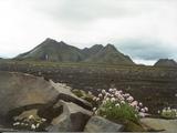 Picture from Iceland 113.
