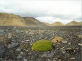 Picture from Iceland 113.
