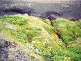 Picture from Iceland 113.