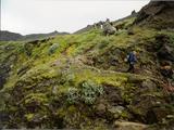 Picture from Iceland 113.