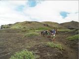 Picture from Iceland 113.
