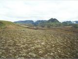 Picture from Iceland 113.