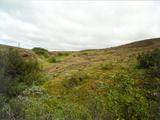 Picture from Iceland 113.