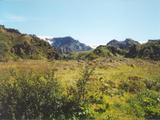 Picture from Iceland 113.