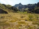 Picture from Iceland 113.