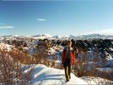 Picture from Iceland 44.